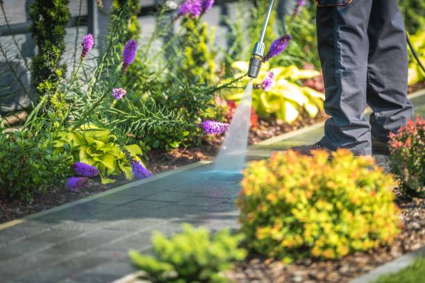 Best Boat and Dock Cleaning  in La Puente, CA
